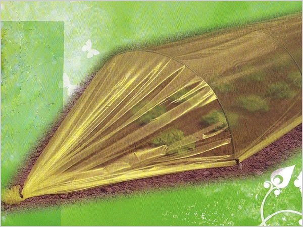 薄膜-塑料地膜_看圖王.jpg 薄膜-塑料地膜_看圖王.jpg