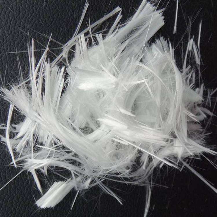 timg (63).jpg timg (63).jpg