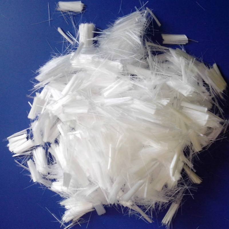 timg (3).jpg timg (3).jpg