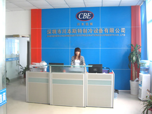 �����д���˹�������O�����޹�˾