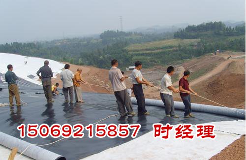 B(yng)ֳ(zhun)hdpeĤBĤ\(yn)ݔ