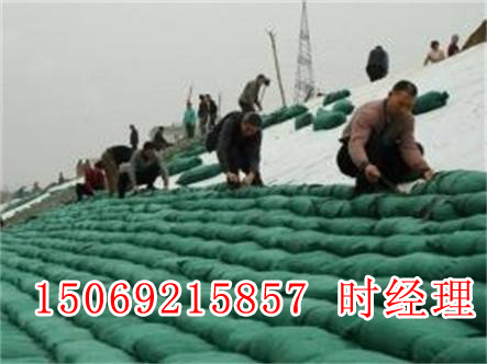 h(hun)B(ti)o´B(ti)ֲI(y)aS