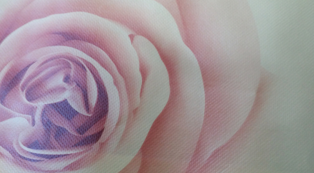 �o������