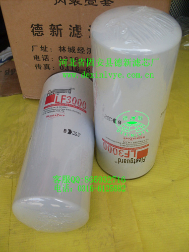 LF3000���мӞV����