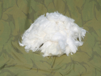 ��Ⱦ���]���w