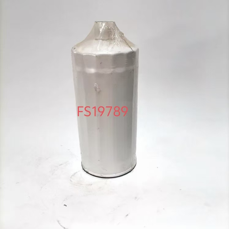 ���͞V����FS19789