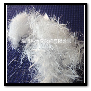 ���_�������w�S