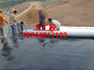 (yng)Ĥh(hun)ĤHDPEBĤ