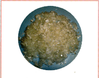 �����w�S