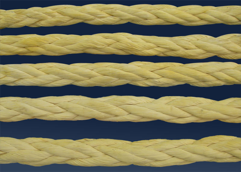 �����߷��Ӿ���ϩ�K